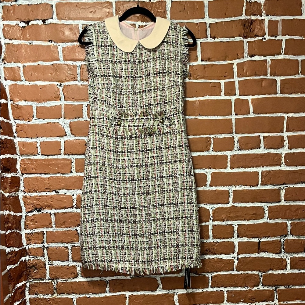BURRYCO Tweed Mini Dress with Cream Collar